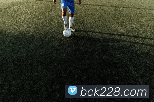 BCK体育官网服务体系